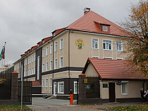 С начала 2017 года заведено 11 уголовных дел на калининградских таможенников