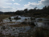 Калининград запросил у Москвы 125 млн рублей на мелиорацию