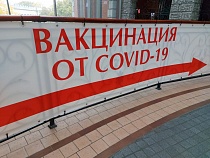 QR-коды подхлестнули темпы вакцинации в Калининградской области на 20%