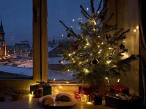 В Калининграде учёный раскрыла тайну вечной ёлки на Новый год