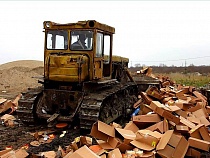 Таможня уничтожила 6 тонн санкционки через 10,5 месяцев после изъятия