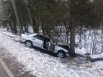 «Мерседес» на прямой дороге улетел в кювет и в дерево  