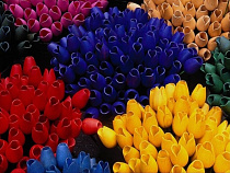 В июне в Калининградскую область привезли миллион цветов