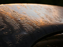 Автомобиль упал в кювет с водой в 200 метрах от шлагбаума на Куршскую косу