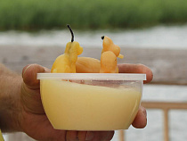 Куршская коса зазывает гостей на "Праздник мёда"