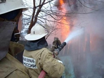В Калининградской области пожарные тушили дерево и пожар в жилом доме