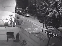 По Калининграду ночами слоняется танцующий граффитист