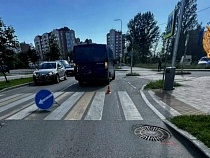 В Калининграде жёстко убрали с дорог двоих детей