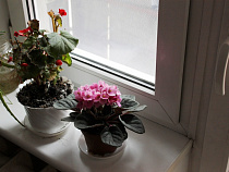 Более чем в миллион рублей обойдется застройщику опоздание со сдачей квартиры