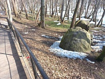 Это мистическое место под Калининградом становится опасным