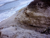 В МЧС рассказали, когда в регионе стихнет ветер  