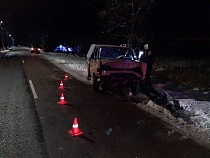 В ДТП под Правдинском пострадали 5 пассажиров 