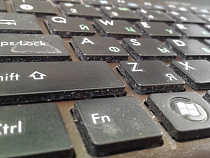 Техподдержку сайта Службы занятости оценили в 570 тысяч рублей