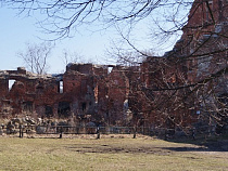 Калининградская область: только 7 замков из 19 можно можно реставрировать