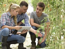 Россельхозбанк помогает активным студентам-аграриям получить опыт работы в отрасли