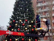 Главный курорт у моря Калининградской области уже украшает ёлку