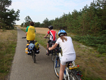 Проектная документация по велодорожке на Куршской косе до сих пор не готова