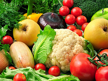 Россельхознадзор не пустил в Калининградскую область около 30 тысяч тонн зараженных соевых бобов