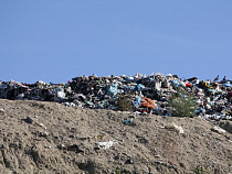 Суд запретил МП «Чистота» эксплуатировать полигон в поселке Космодемьянского