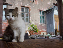 Госдума не изменила закон о запрете хостелов в жилых домах