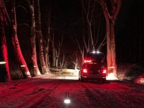 Водитель «Шкоды» врезался в упавшее на дорогу огромное дерево