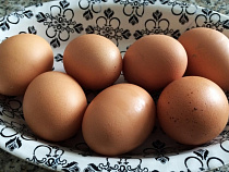 В Калининградской области почти на 20% выросло производство яиц и мяса птицы