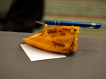 Калининградский янтарный комбинат не допустил до торгов четверть участников