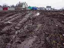 Письма из мэрии Калининграда не находят адресатов 