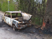 Появилось видео горящего под Калининградом «Жигули»