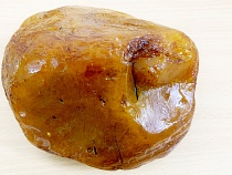 В Калининградской области нашли ещё один янтарь весом в 1,2 кг