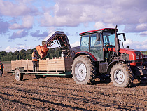 Чиновники назвали суммы сельских грантов
