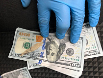 Новогодние воры обокрали квартиру на 225 тысяч рублей (видео, фото)