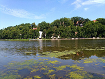 Экс-директора рынка в Светлогорске отлучили от власти на три года