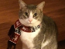 Пять простых правил от Роспотребнадзора для профилактики гриппа и ОРВИ