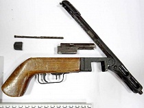 В Калининграде на нелюбителя кошек завели ещё уголовные дела