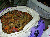 Калининградская таможня пресекла контрабанду 17 кг янтаря (фото)