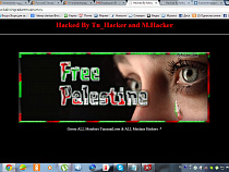 Палестинские хакеры атаковали сайт Калининградской художественной галереи