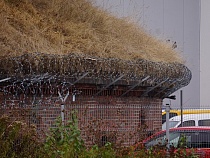 Маслов хочет запретить застройку парковки «Бауцентра»