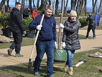 «Ни дня без посадок»: мэр Светлогорска выполнил поручение Алиханова