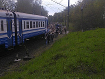 Пассажиры под Калининградом очистили путь поезду