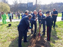 Беспрозванных посадил дуб в новой роще в Черняховске