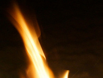 В Калининграде самолёт сел на брюхо