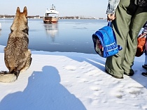 Мороз остановил паром в Калининградской области