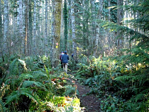 В Калининградской области могут внедрить систему «Наша природа»