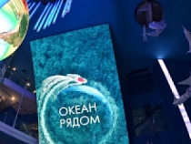 Грандиозное открытие "Планеты Океан" в Музее Мирового океана в Калининграде