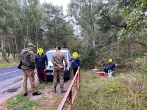 Опубликована карта запретных для сбора грибов мест на Куршской косе