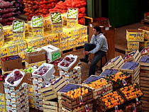 Наибольшее количество разрешений на ввоз продуктов в Россию получили Перу и Чили