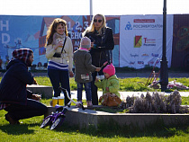 Туристы с детьми выбирают на майские праздники Калининград