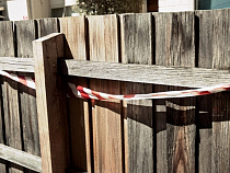 Жительница Советска, защищая собаку, избила мужа деревянным штакетником