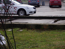 В Славском районе скатившийся с подъема автомобиль сбил 92-летнего пешехода